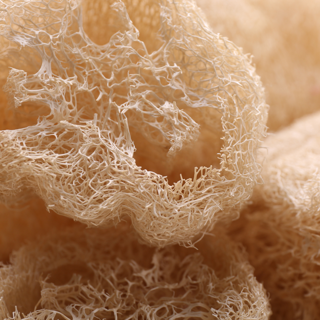 Organic Biodegradable Loofah Exfoliating Sponge 6"
