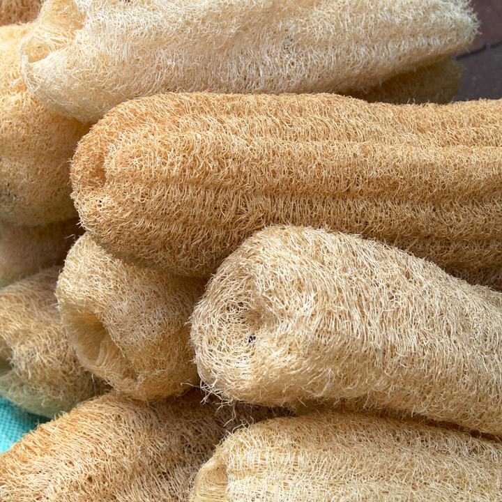 Organic Biodegradable Loofah Exfoliating Sponge 6"