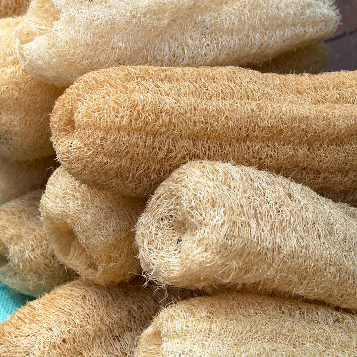Loofah Body Sponge 6 Inch
