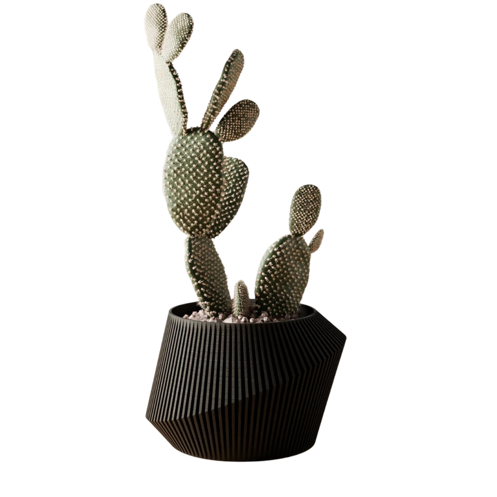 Biodegradable Plant-Based Bioplastic Urban Planter