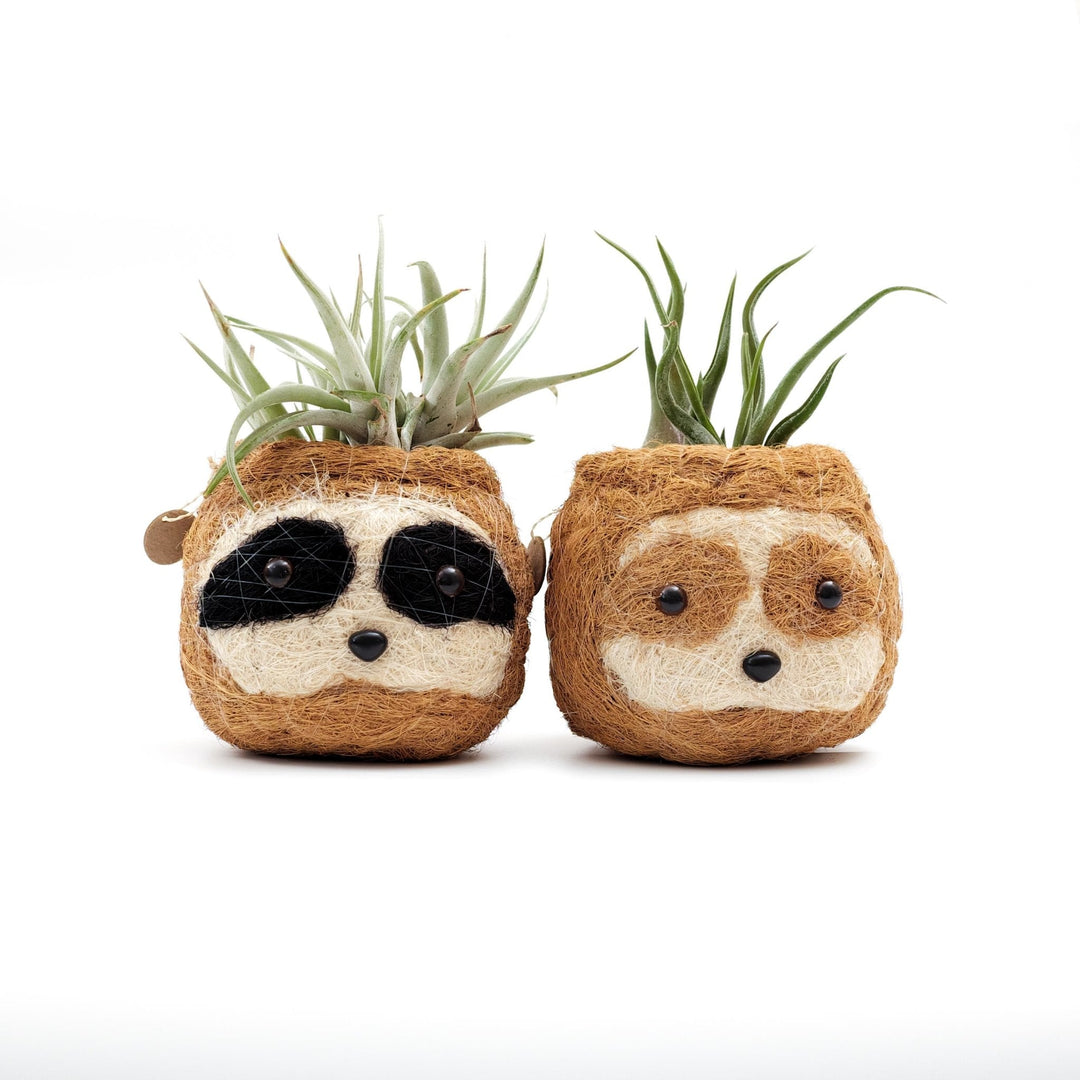 Handcrafted Coco Coir Sloth Planter, Natural