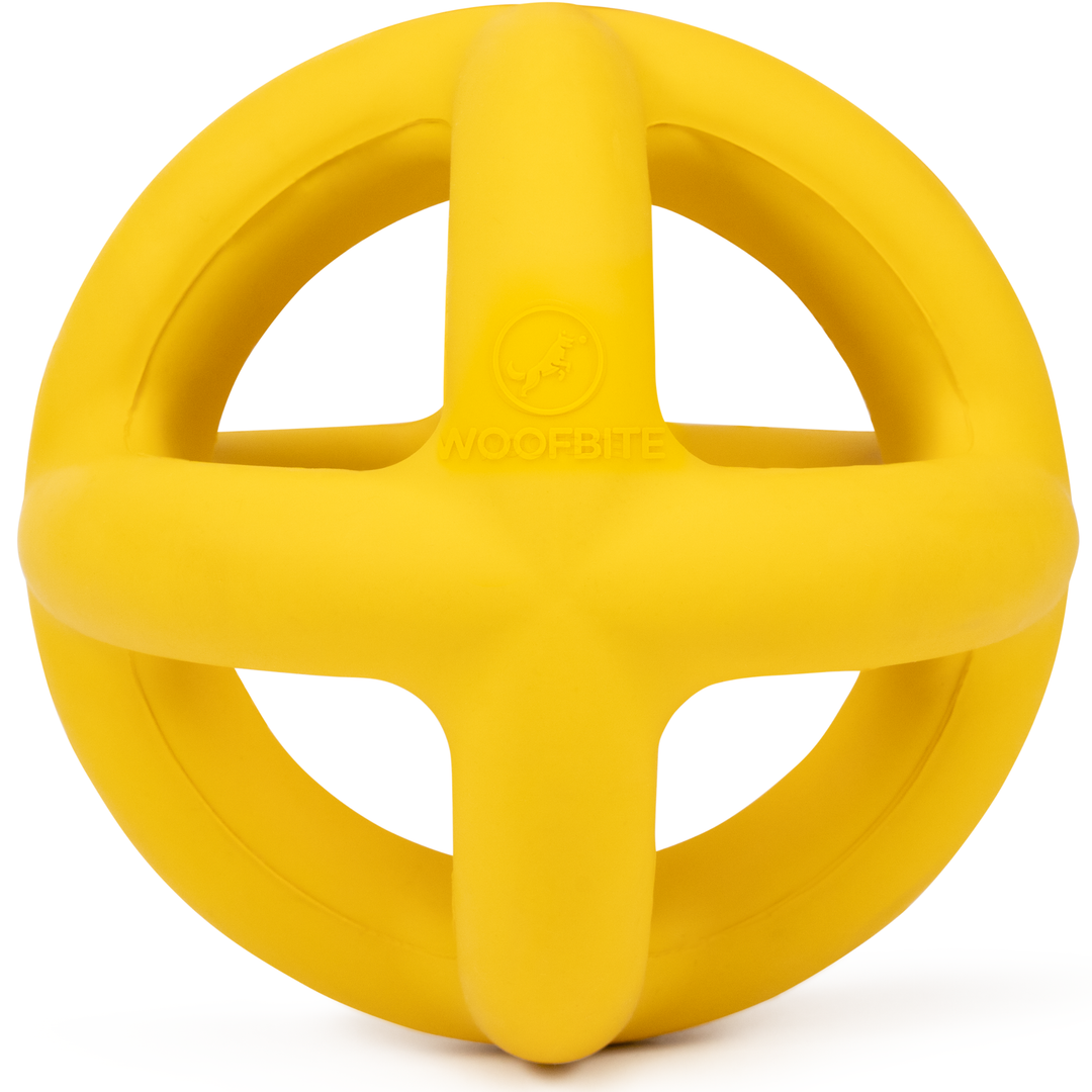 Giant Halo Dog Toy Ball