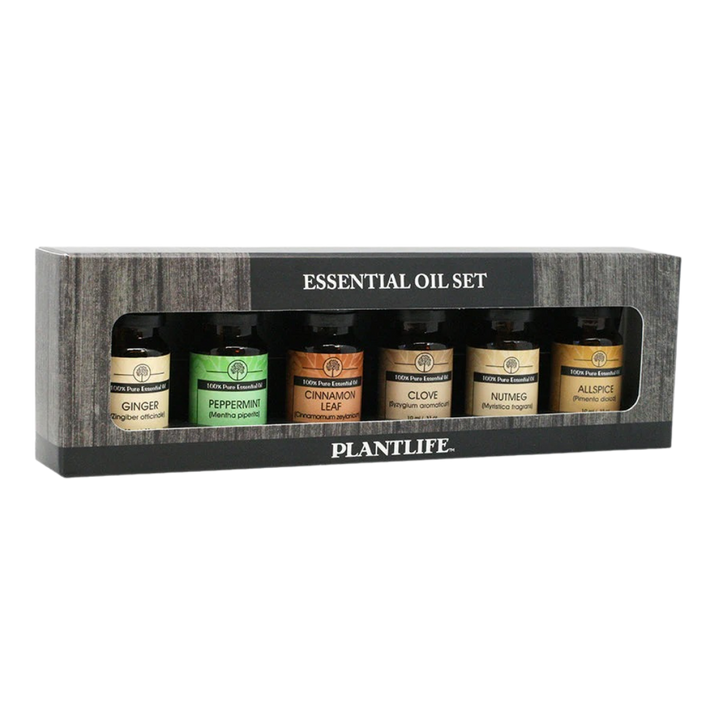 Organic Holiday Spice Essential Oil Decor Set, 6 Ct.