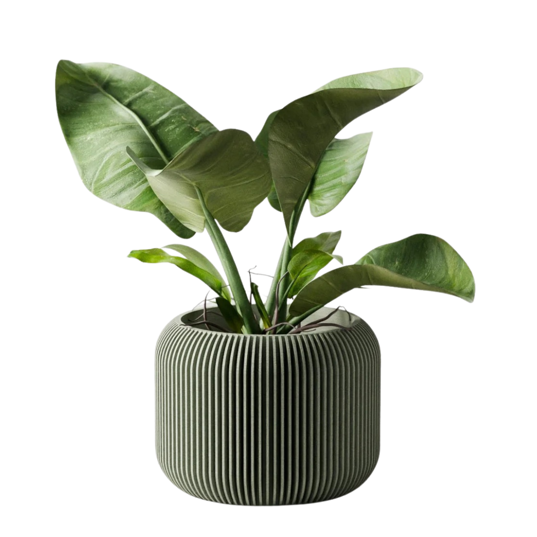 Plant-Based Ribbed Orbis Decor Planter, Multi-Size