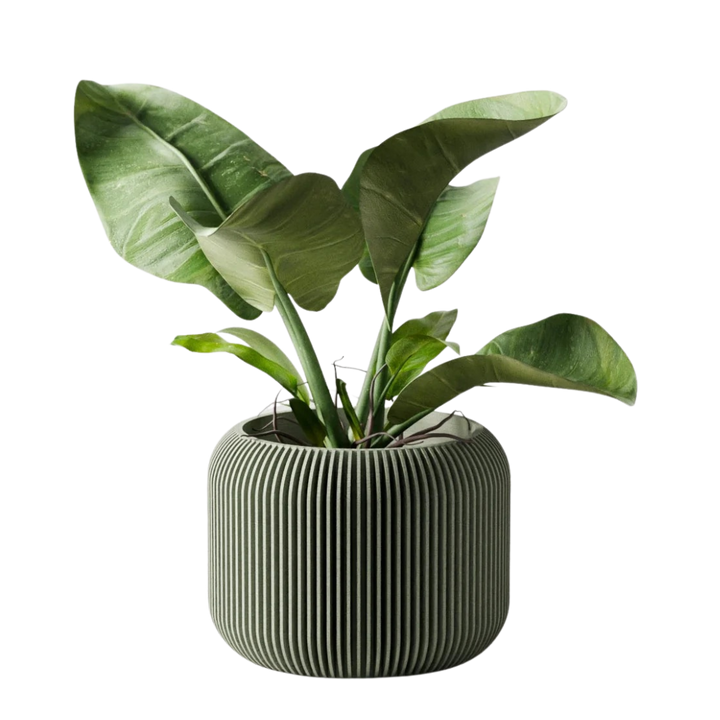 Plant-Based Ribbed Orbis Decor Planter, Multi-Size