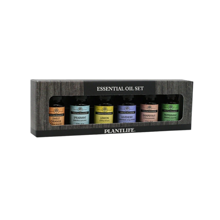 Pure Essential Oil Aromatherapy Decor Set, 6 Ct.