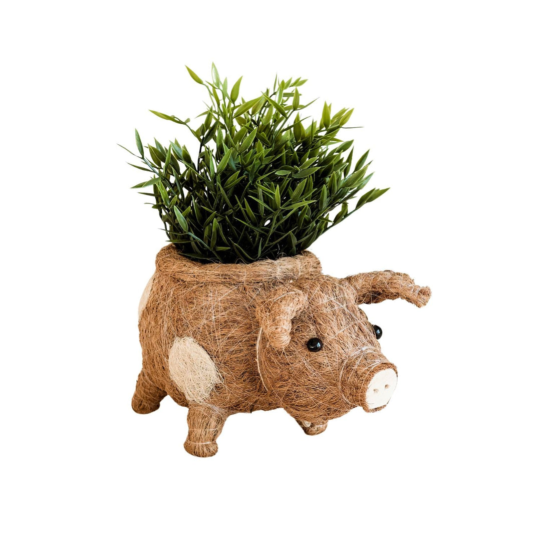 Handcrafted Coco Coir Pig Planter, Natural