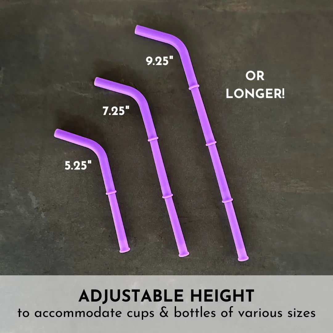 Silicone Travel Straw Set