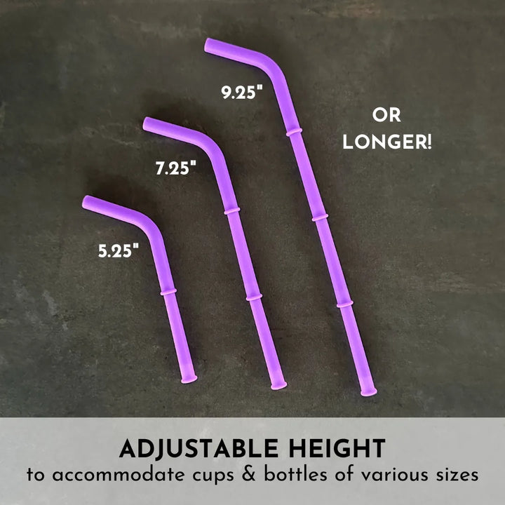 Silicone Travel Straw Set
