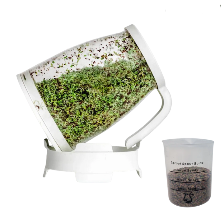 Organic Non-GMO Broccoli Sprouting Starter Kit, 4 oz.