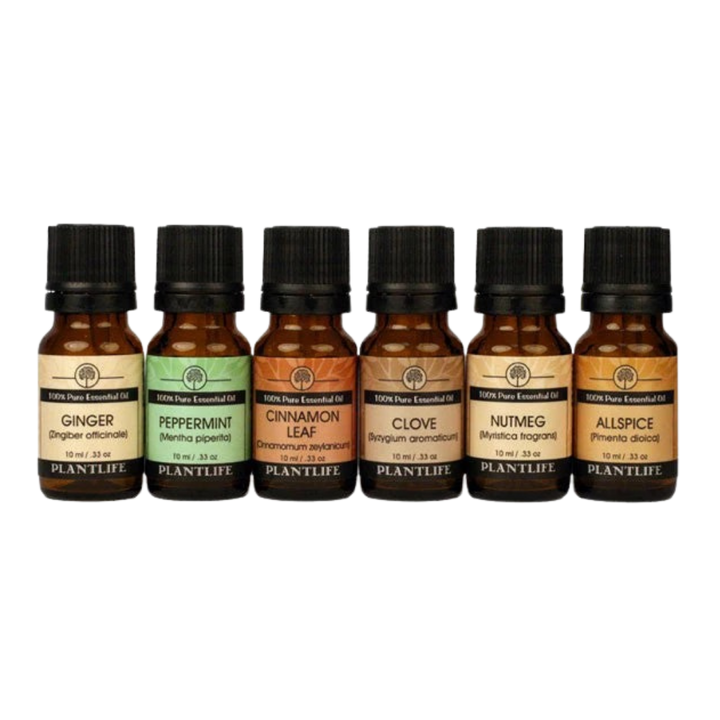 Organic Holiday Spice Essential Oil Decor Set, 6 Ct.