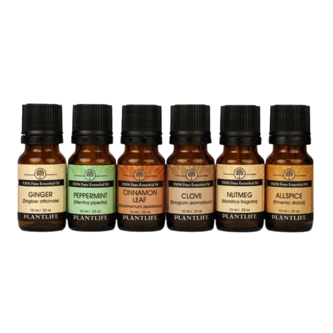 Holiday Spice Diffuser Oil Set