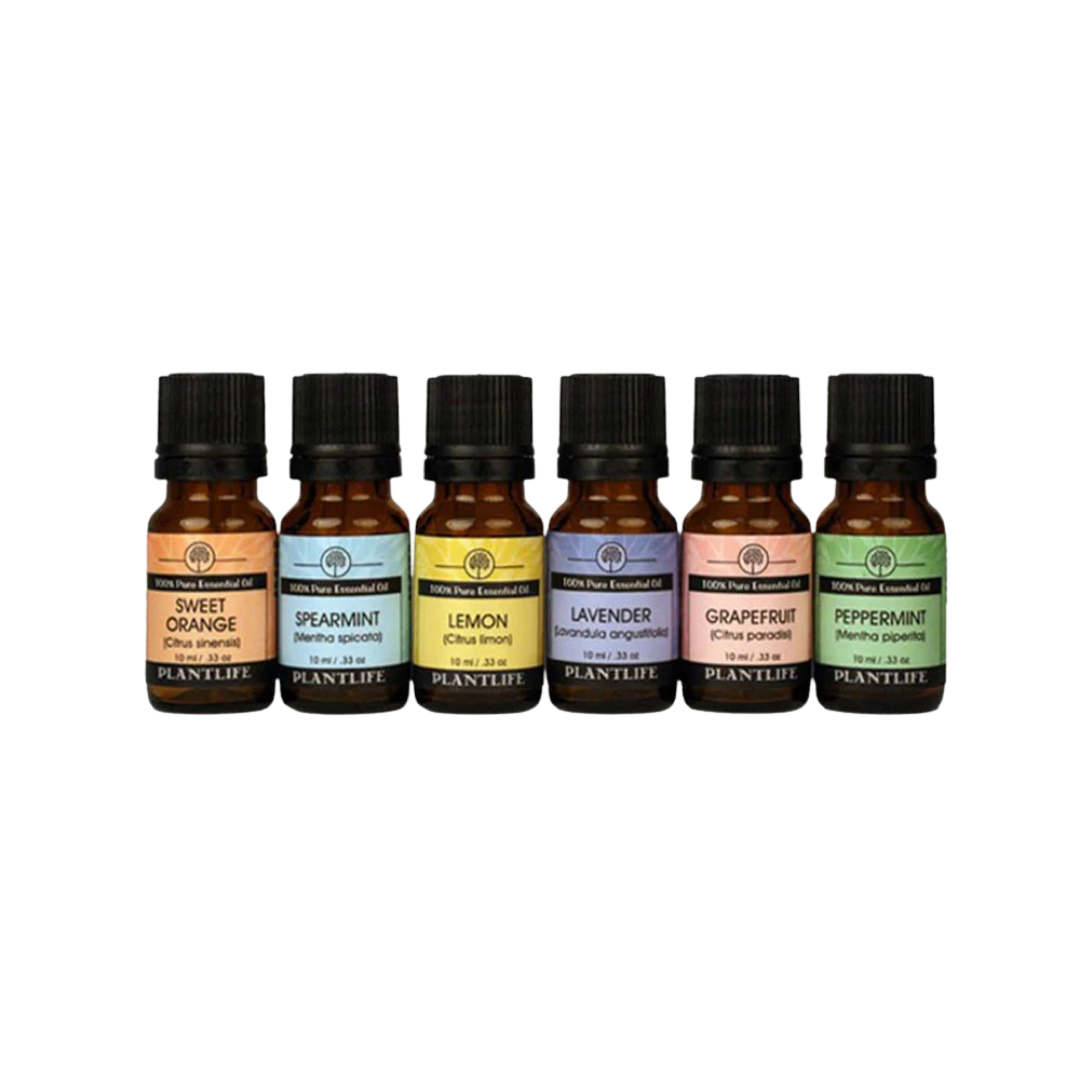 Pure Essential Oil Aromatherapy Decor Set, 6 Ct.