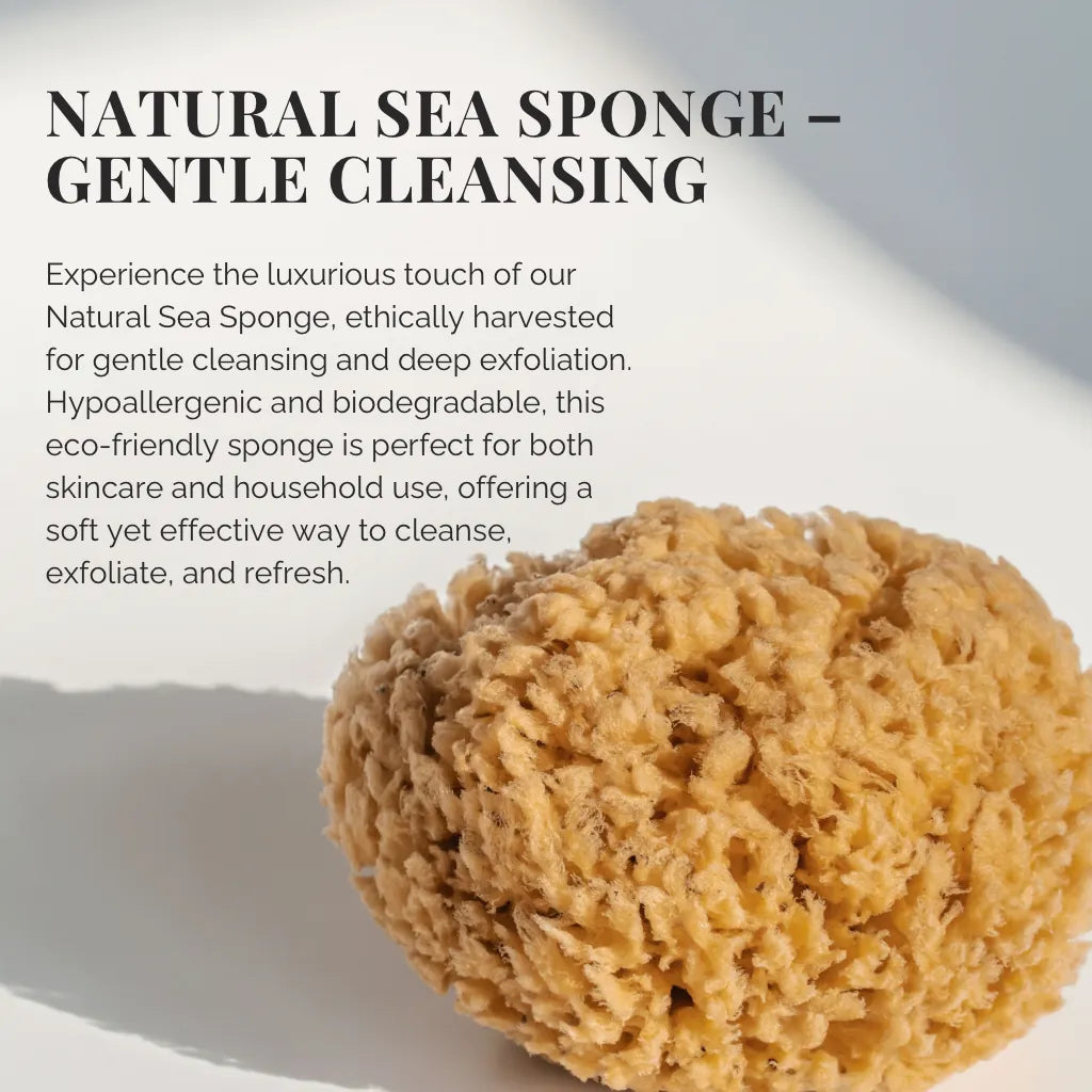 Natural Sea Sponge Bath Set