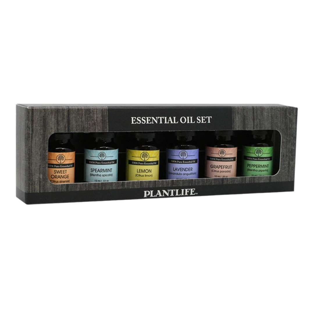 Pure Essential Oil Aromatherapy Decor Set, 6 Ct.