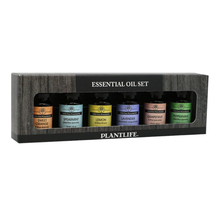 Pure Essential Oil Aromatherapy Decor Set, 6 Ct.