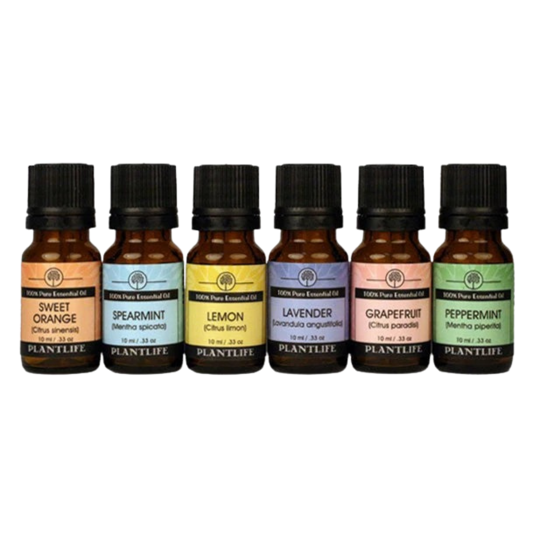 Pure Essential Oil Aromatherapy Decor Set, 6 Ct.