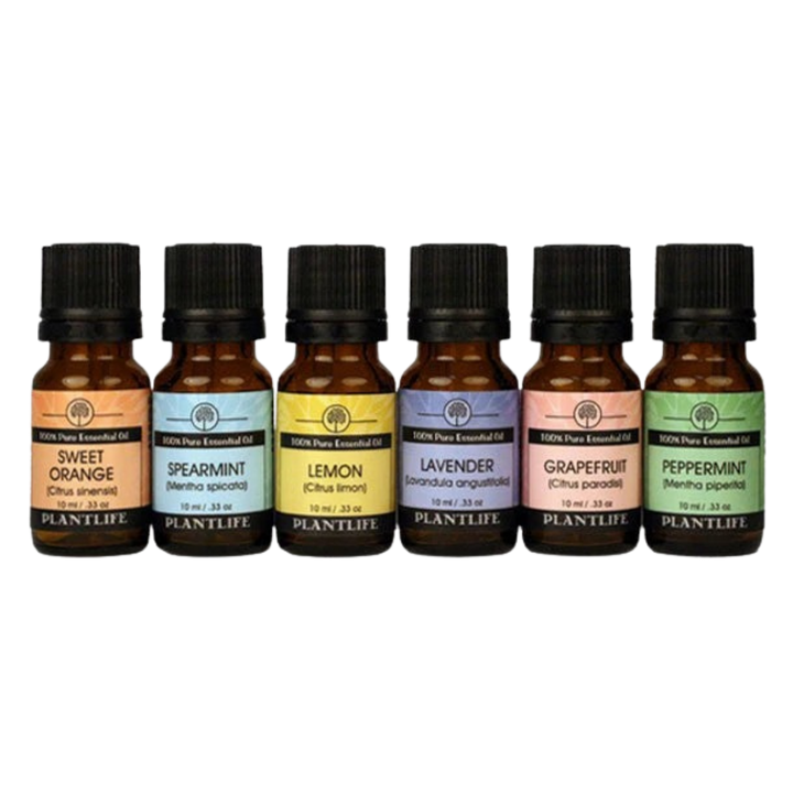 Pure Essential Oil Aromatherapy Decor Set, 6 Ct.
