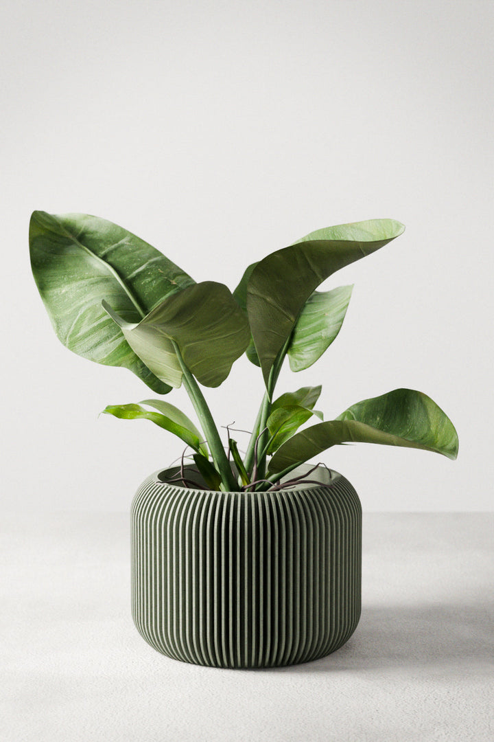 Plant-Based Ribbed Orbis Decor Planter, Multi-Size