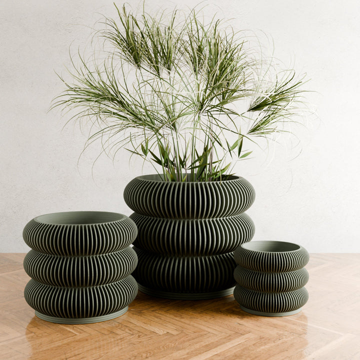 Biodegradable Plant-Based Bubble Planter, Ribbed Decor