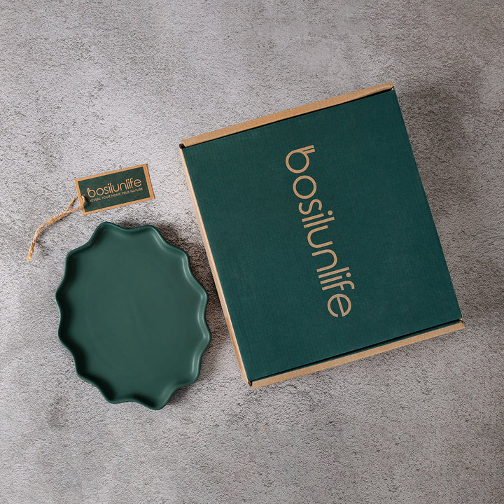Recycled Ceramic Dinner Plates, 4 Ct.