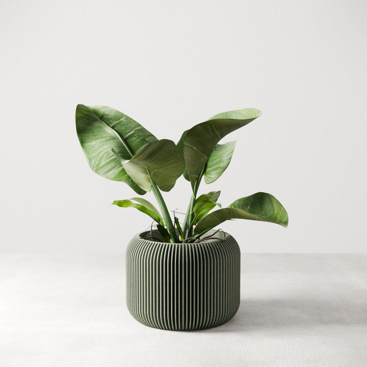 Plant-Based Ribbed Orbis Decor Planter, Multi-Size