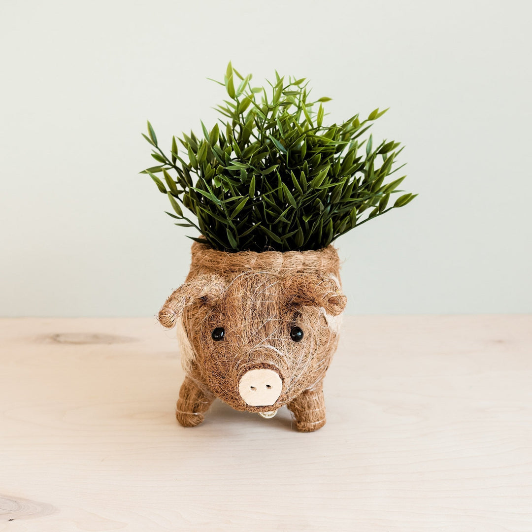 Handcrafted Coco Coir Pig Planter, Natural