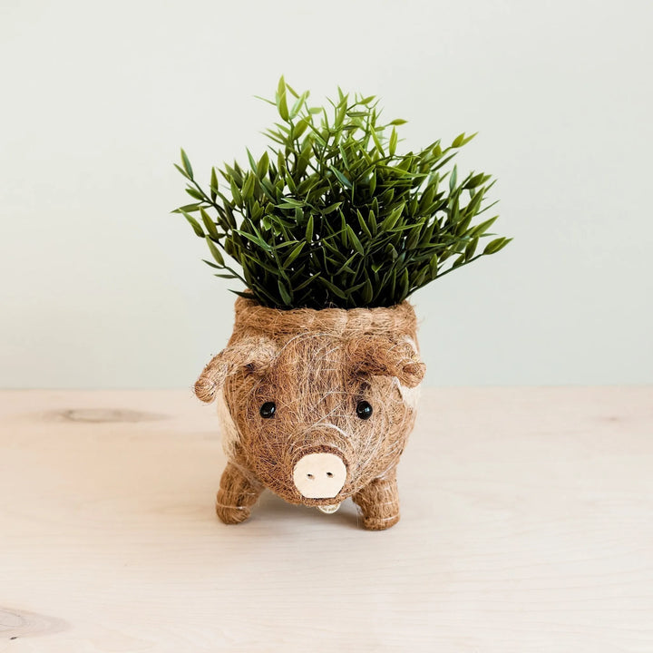 Coco Coir Pig Planter Natural