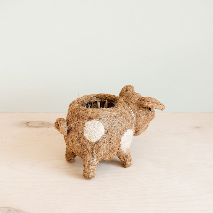 Handcrafted Coco Coir Pig Planter, Natural