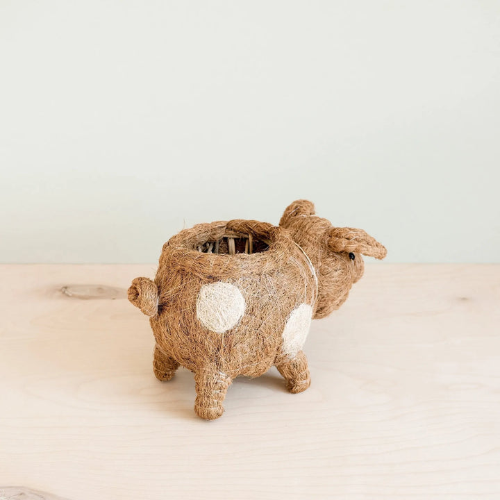 Coco Coir Pig Planter Natural