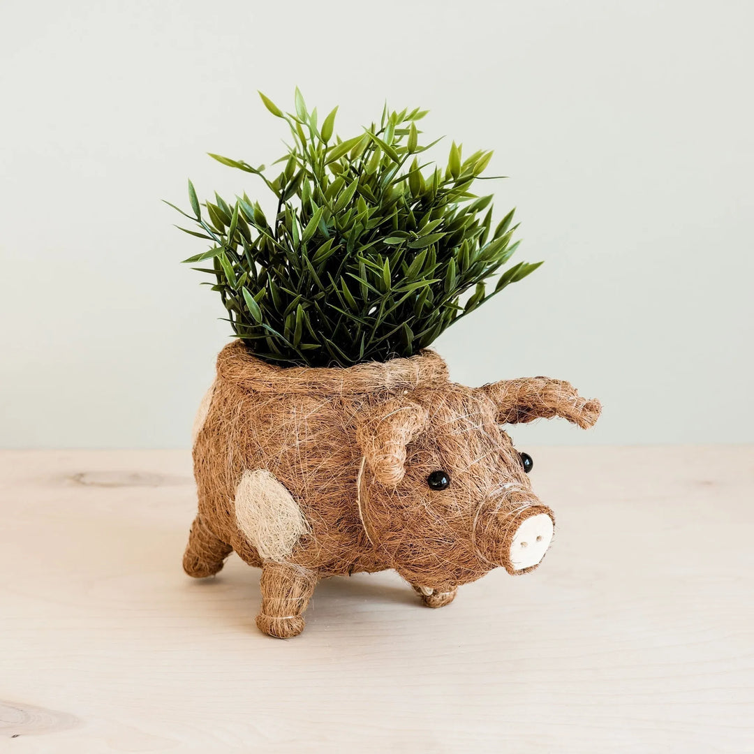 Coco Coir Pig Planter Natural