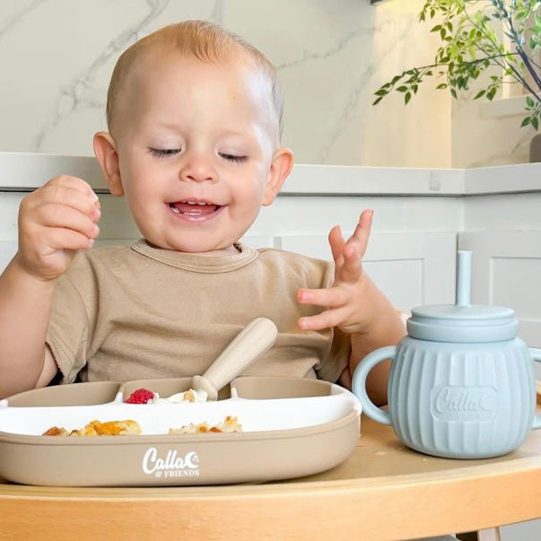 Non-Toxic Silicone Baby Feeding Plate with Dividers