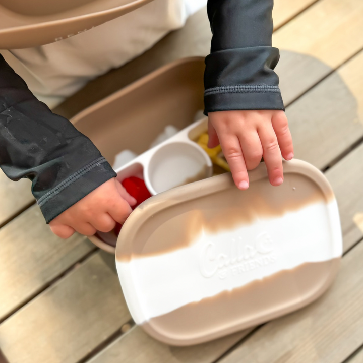 Non-Toxic Silicone Bento Lunch Box, BPA-Free