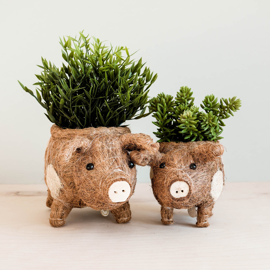 Handcrafted Coco Coir Pig Planter, Natural