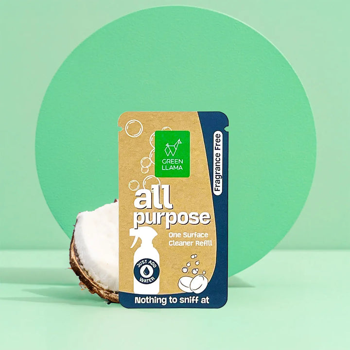 All Purpose Cleaning Kit