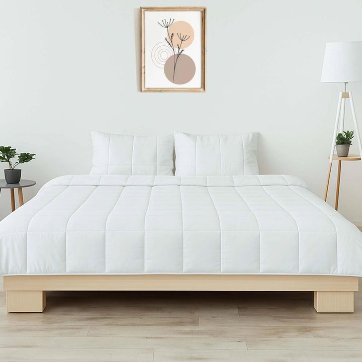 Eucalyptus Silk Comforter Sham Set