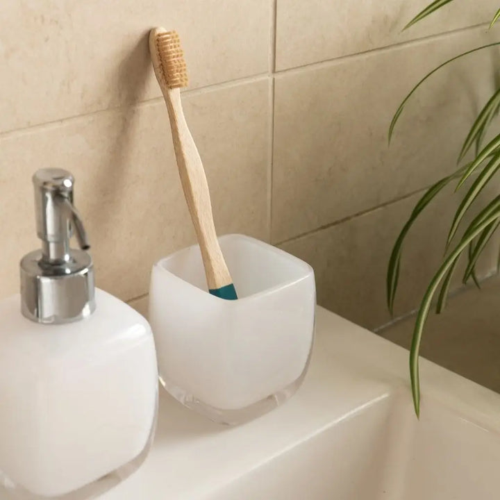 Biodegradable Organic Bamboo Toothbrush Set, 4 Ct.