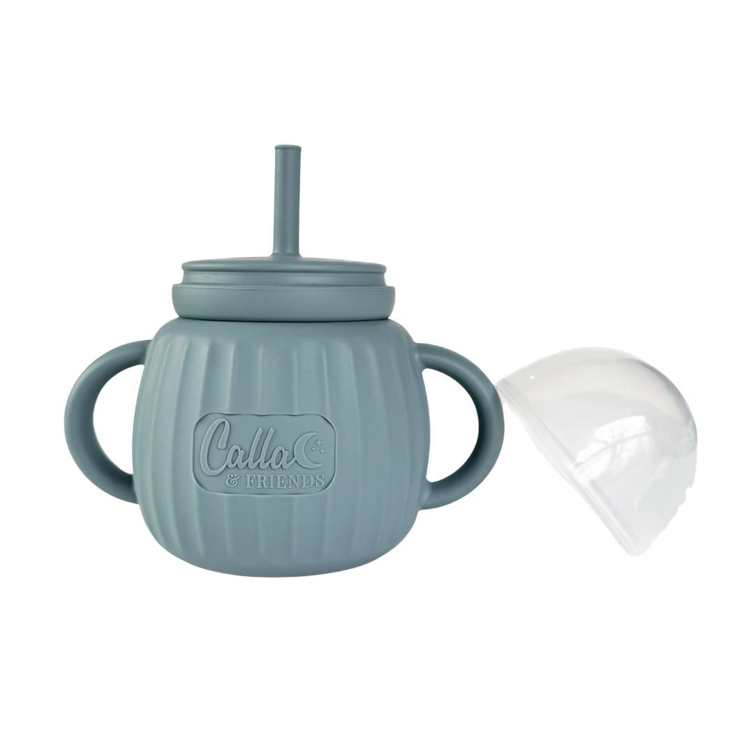 Brody Toddler Straw Sippy Cup