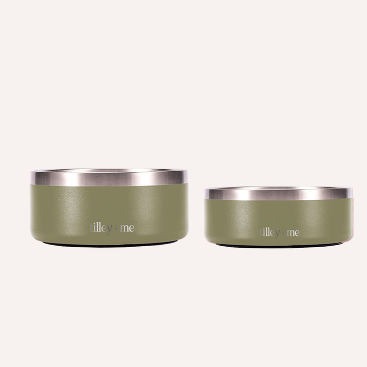 Non-Slip Stainless Steel Pet Bowl