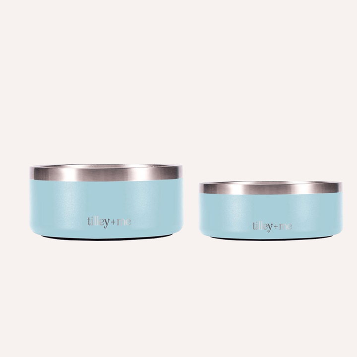 Non-Slip Stainless Steel Pet Bowl