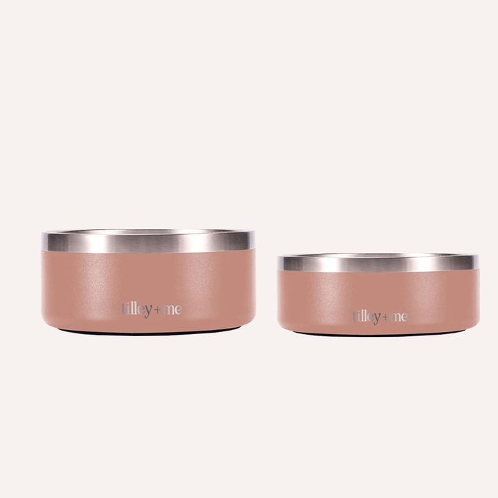 Non-Slip Stainless Steel Pet Bowl