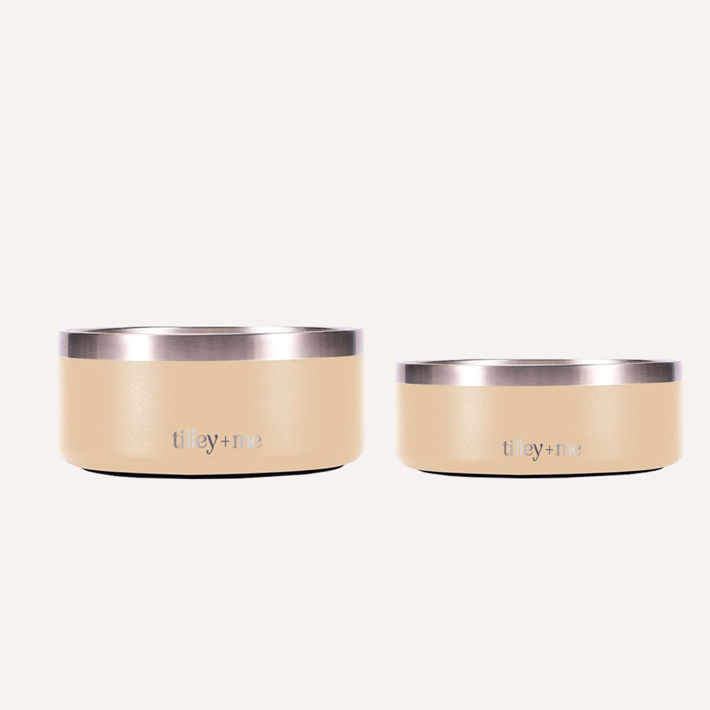 Non-Slip Stainless Steel Pet Bowl