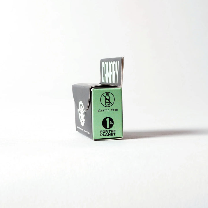Charcoal Mint Refillable Dental Floss