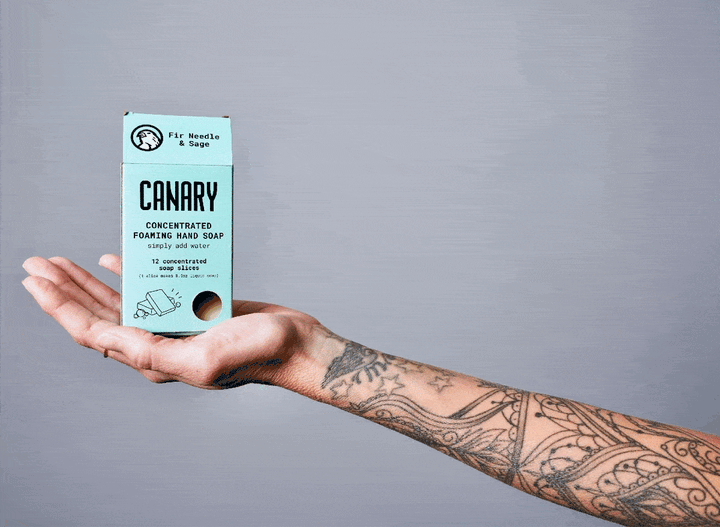 Compostable Fir &amp; Sage Concentrated Bar Soap