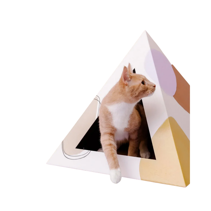Cardboard Cat Pyramid Cave