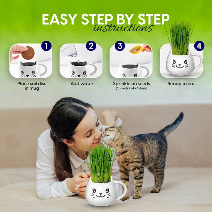 Organic Ceramic Wheat Grass Growing Kit