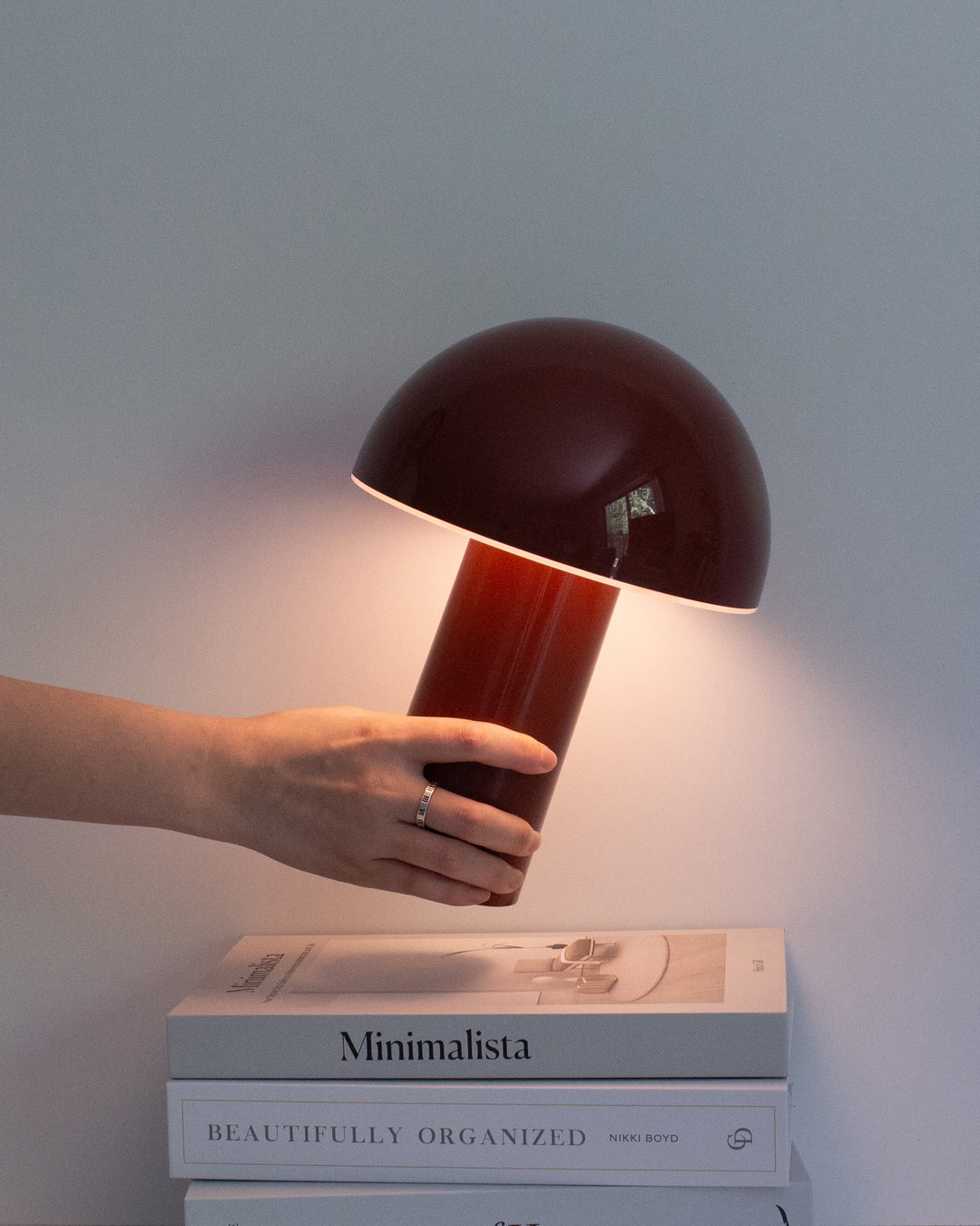 Cordless Touch Dimmer Mushroom Lamp, USB-C