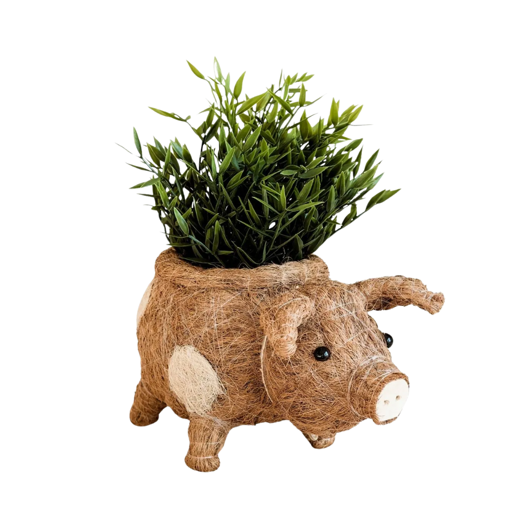 Coco Coir Pig Planter Natural