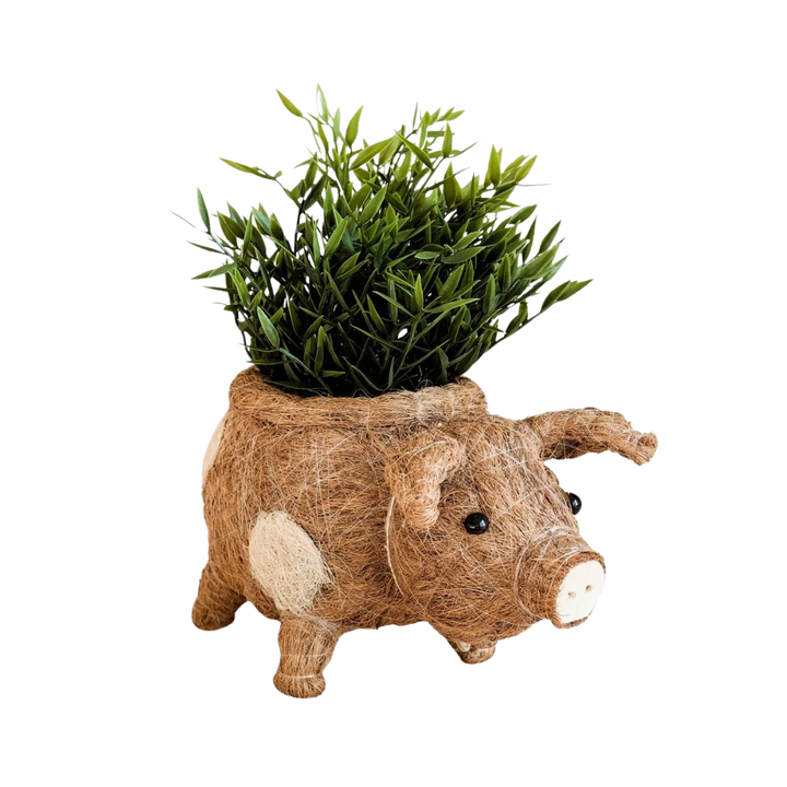Coco Coir Pig Planter Natural