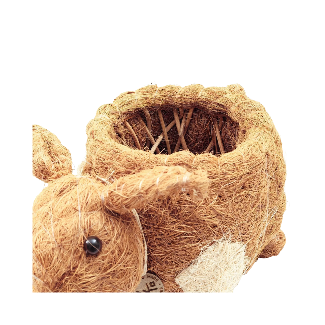Coco Coir Pig Planter Natural